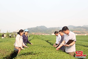 Chuyển giao khoa học kỹ thuật cho nông dân