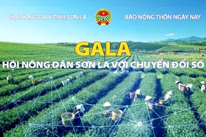 Ngày 27/11, sẽ diễn ra Gala "Nông dân Sơn La với tiêu thụ nông sản"