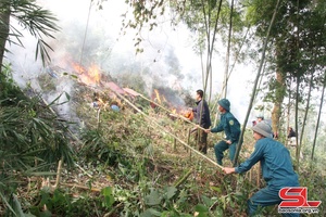  Diễn tập ứng phó cháy rừng, tìm kiếm cứu nạn xã Chiềng Chung 