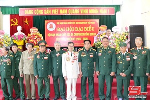 Đại hội đại biểu Hội Nạn nhân chất độc da cam/dioxin tỉnh lần thứ II