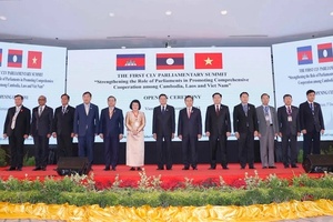 Thúc đẩy quan hệ giữa Việt Nam và các nước ASEAN
