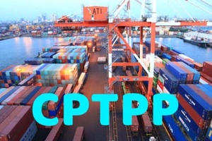 Tăng trưởng xuất khẩu nông sản từ Hiệp định CPTPP
