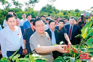 Đoàn kết, khai thác tiềm năng, thế mạnh, thực hiện hiệu quả các mục tiêu, nhiệm vụ Nghị quyết Đảng bộ tỉnh lần thứ XV