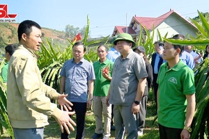 Đồng chí Phó Bí thư Thường trực Tỉnh ủy thăm một số HTX nông nghiệp