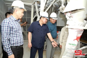 Đồng chí Phó Bí thư Thường trực Tỉnh ủy nắm tình hình tại Khu công nghiệp Mai Sơn