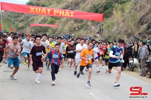 Giải chạy chinh phục đỉnh Pom Luông