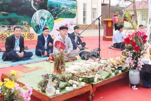 Hoa ban trong đời sống và văn hóa dân tộc Thái
