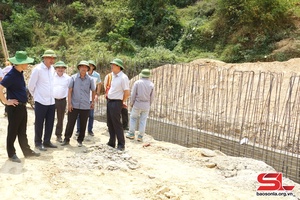 Đồng chí Phó Chủ tịch UBND tỉnh kiểm tra công tác chống hạn tại huyện Thuận Châu.