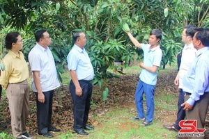 'Đoàn đại biểu HĐND các tỉnh nước CHDCND Lào thăm các mô hình nông nghiệp trên địa bàn tỉnh 
