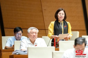 Đoàn đại biểu Quốc hội tỉnh Sơn La tham gia thảo luận tại hội trường về kinh tế - xã hội