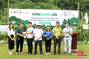 'Chương trình “Rừng xanh lên” ở huyện Vân Hồ
