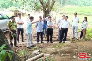 Kiểm tra tiến độ cải tạo, nâng cấp tuyến đường nối từ quốc lộ 37 với quốc lộ 279D.