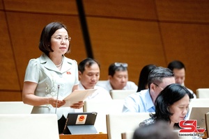 Đoàn ĐBQH tỉnh Sơn La thảo luận tại phiên họp toàn thể