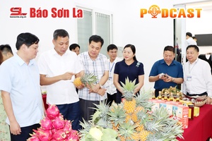 Bản tin Podcast ngày 3/7/2024