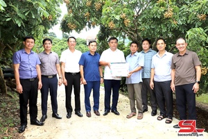 Đoàn công tác của Ban Tổ chức Tỉnh ủy tham quan một số mô hình tại huyện Sông Mã