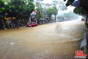 Mưa lớn khiến nhiều khu vực huyện Thuận Châu bị ngập úng