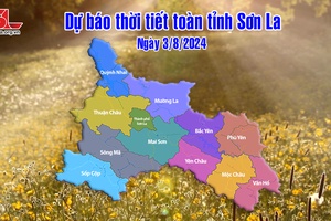 Dự báo thời tiết toàn tỉnh Sơn La ngày 3/8/2024
