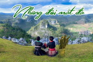 Truyện ngắn: Những đôi mắt đá