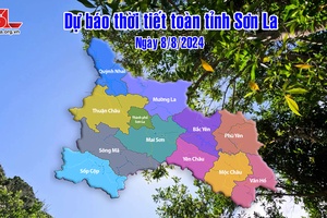 Dự báo thời tiết toàn tỉnh Sơn La ngày 8/8/2024
