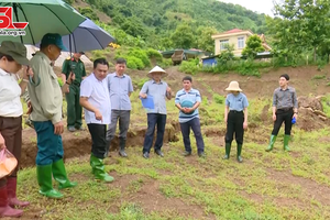 Mộc Châu chủ động phòng, chống thiên tai