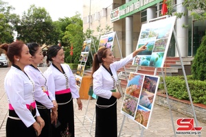 Triển lãm ảnh đẹp du lịch Quỳnh Nhai