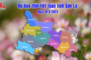 Dự báo thời tiết toàn tỉnh Sơn La ngày 19/8/2024
