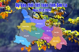 Dự báo thời tiết toàn tỉnh Sơn La ngày 22/8/2024
