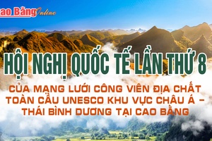 Hội nghị Quốc tế lần thứ 8