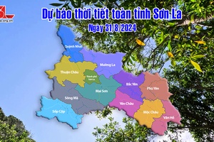 Dự báo thời tiết toàn tỉnh Sơn La ngày 31/8/2024
