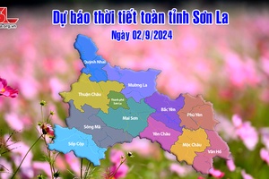 Dự báo thời tiết toàn tỉnh Sơn La ngày 02/9/2024
