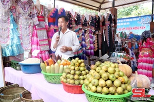 'Cây sơn tra vùng cao Thuận Châu