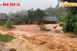 Bản tin Podcast ngày 8/9/2024
