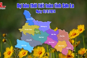 Dự báo thời tiết toàn tỉnh Sơn La ngày 15/9/2024
