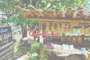 Quán tự giác