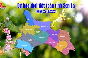 'Dự báo thời tiết toàn tỉnh Sơn La ngày 22/9/2024
