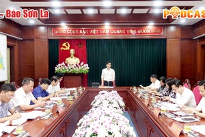 Bản tin Podcast ngày 24/9/2024

