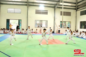 'Hơn 200 võ sinh tham gia kỳ thi chuyển cấp đai môn Taekwondo