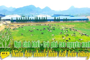 NGÔ SINH KHỐI - TRÙ PHÚ CAO NGUYÊN XANH: KỲ 2: Kiến tạo chuỗi liên kết