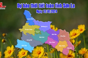 Dự báo thời tiết toàn tỉnh Sơn La ngày 13/10/2024
