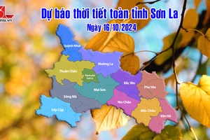 Dự báo thời tiết toàn tỉnh Sơn La ngày 16/10/2024
