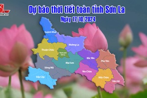 Dự báo thời tiết toàn tỉnh Sơn La ngày 17/10/2024
