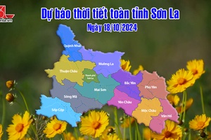 'Dự báo thời tiết toàn tỉnh Sơn La ngày 18/10/2024
