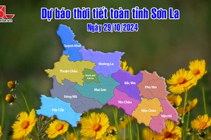 'Dự báo thời tiết toàn tỉnh Sơn La ngày 29/10/2024
