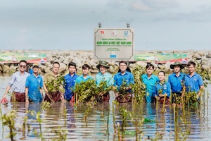 '32 dự án vào Vòng chung khảo Giải thưởng Hành động vì cộng đồng 2024
