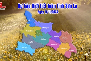 Dự báo thời tiết toàn tỉnh Sơn La ngày 11/11/2024
