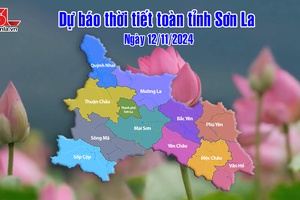 Dự báo thời tiết toàn tỉnh Sơn La ngày 12/11/2024
