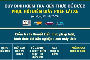 '[Infographic] Quy định về kiểm tra kiến thức để được phục hồi điểm giấy phép lái xe
