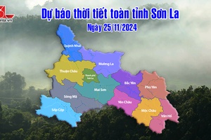 'Dự báo thời tiết toàn tỉnh Sơn La ngày 25/11/2024
