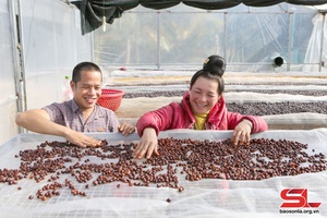 'Thu hút đầu tư, nâng cao giá trị nông sản