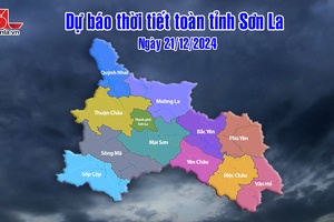 'Dự báo thời tiết toàn tỉnh Sơn La ngày 21/12/2024
